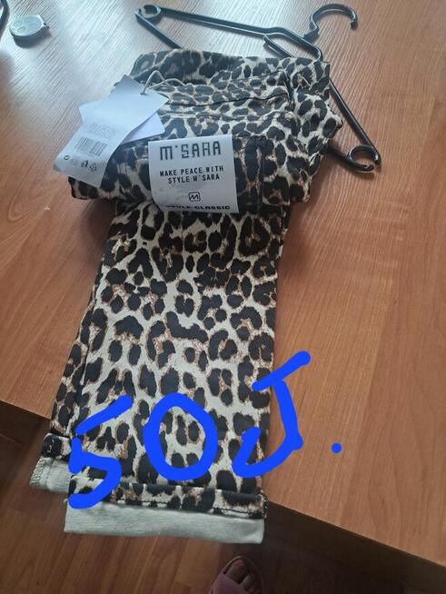 Ciuszki na każdą kieszeń