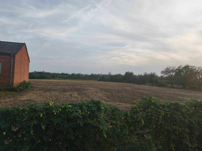 Dom z działką w miejscowości Zabełcze