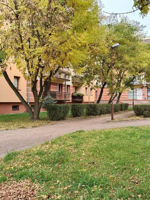 Mieszkanie, ul. Energetyków, Bełchatów