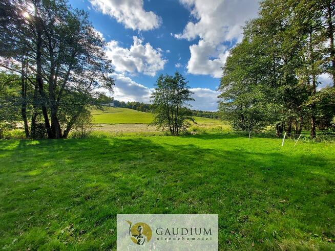 Enklawa pośród pól - 1ha piękna i ciszy | Kobysewo