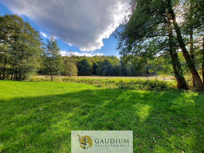 Enklawa pośród pól - 1ha piękna i ciszy | Kobysewo