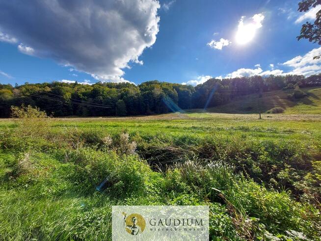 Enklawa pośród pól - 1ha piękna i ciszy | Kobysewo