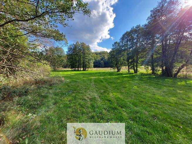 Enklawa pośród pól - 1ha piękna i ciszy | Kobysewo