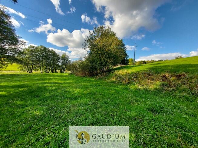 Enklawa pośród pól - 1ha piękna i ciszy | Kobysewo