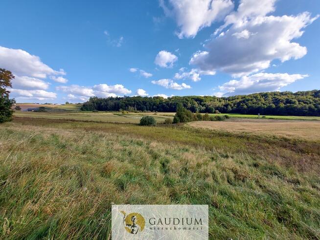 Enklawa pośród pól - 1ha piękna i ciszy | Kobysewo