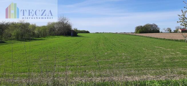 Działka inwestycyjna Długa Kościelna gm. Halinów, Polna