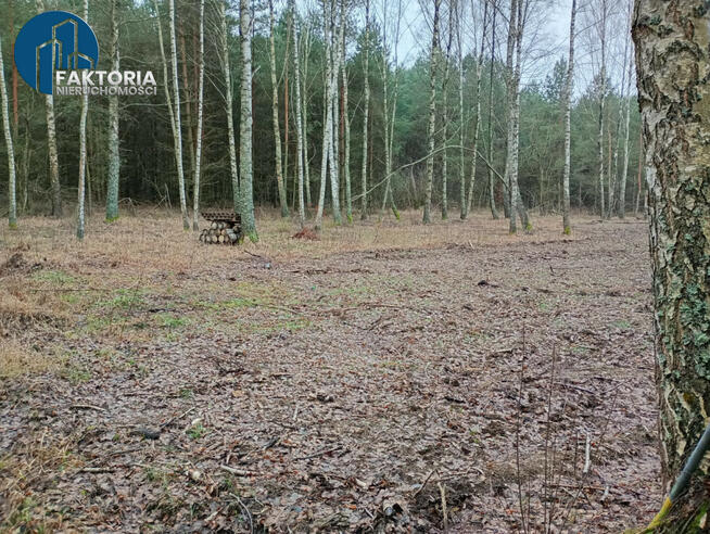 Działka rekreacyjna Bołtryki gm. Michałowo,