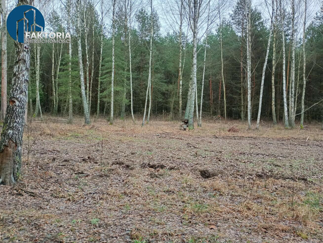 Działka rekreacyjna Bołtryki gm. Michałowo,