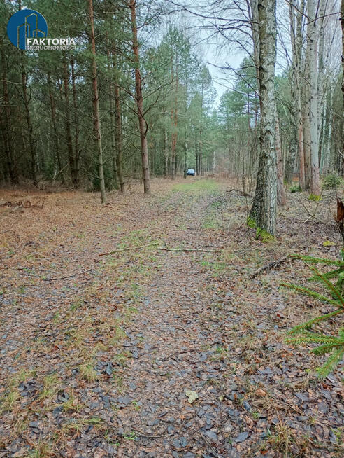 Działka rekreacyjna Bołtryki gm. Michałowo,