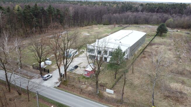 Lokal użytkowy Dąbrówka gm. Rzezawa