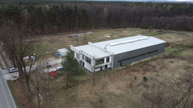 Lokal użytkowy Dąbrówka gm. Rzezawa