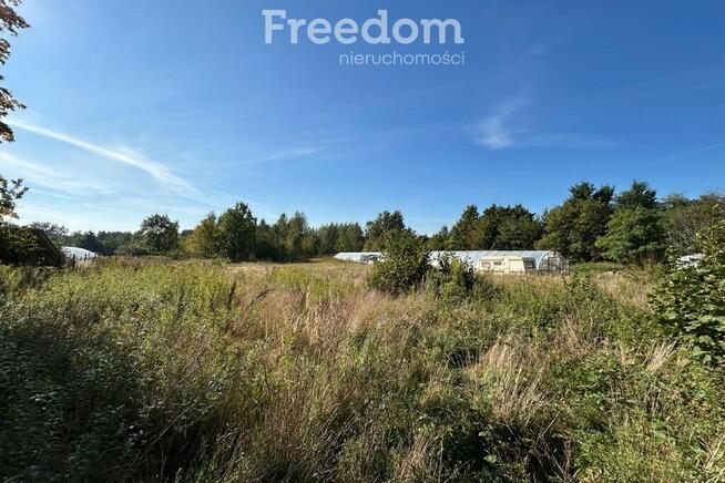 Działki w miejscowości Zakole-Wiktorowo