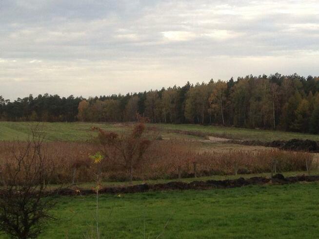 Działka budowlana Szymanowo gm. Śrem