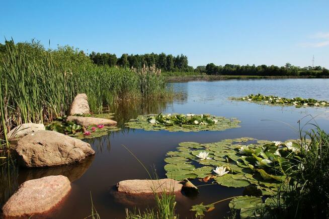 Działka rekreacyjna Jarogniew gm. Gościno