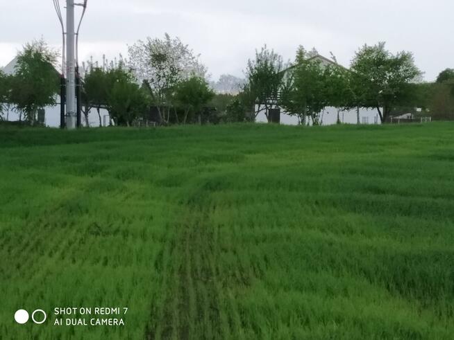 Działka budowlana Czernin gm. Dygowo, Czernin