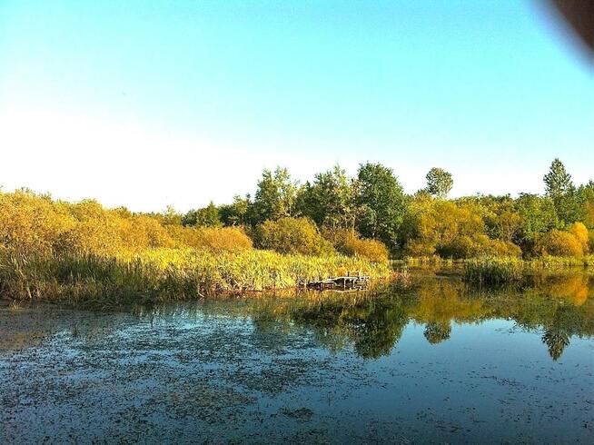 Działka rolna Dygowo, Lipowa