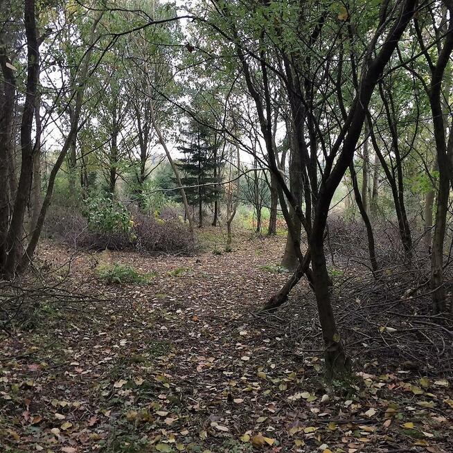 Działka rolna Dygowo, Lipowa