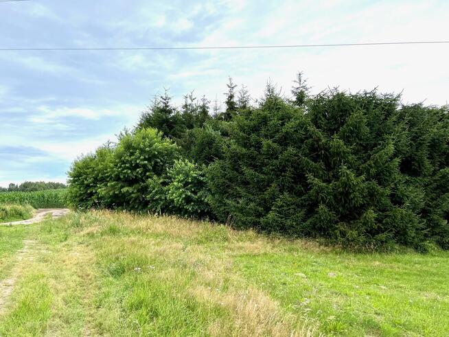 Działka rolna Obroty gm. Kołobrzeg, Obroty