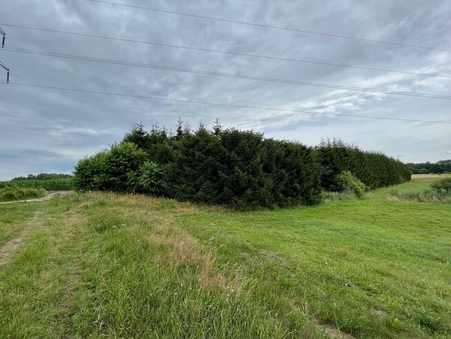 Działka rolna Obroty gm. Kołobrzeg, Obroty