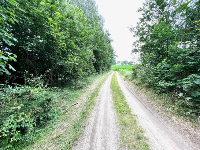 Działka rolna Obroty gm. Kołobrzeg, Obroty