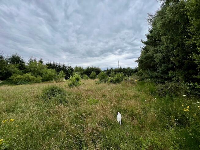 Działka rolna Obroty gm. Kołobrzeg, Obroty