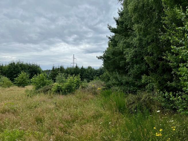 Działka rolna Obroty gm. Kołobrzeg, Obroty