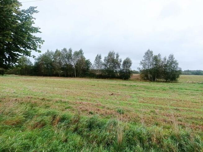 Działka budowlana Morowo gm. Siemyśl, Morowo