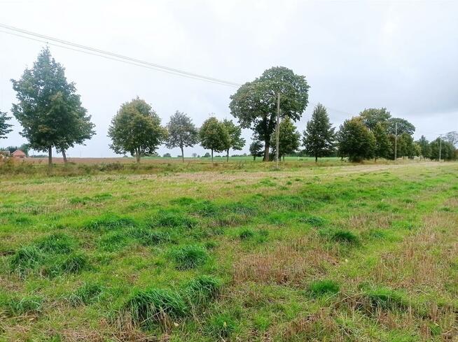 Działka budowlana Morowo gm. Siemyśl, Morowo