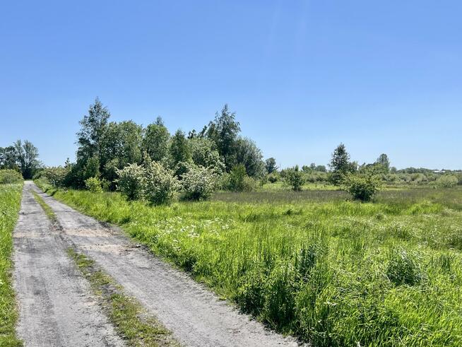 Działka Stary Borek gm. Kołobrzeg