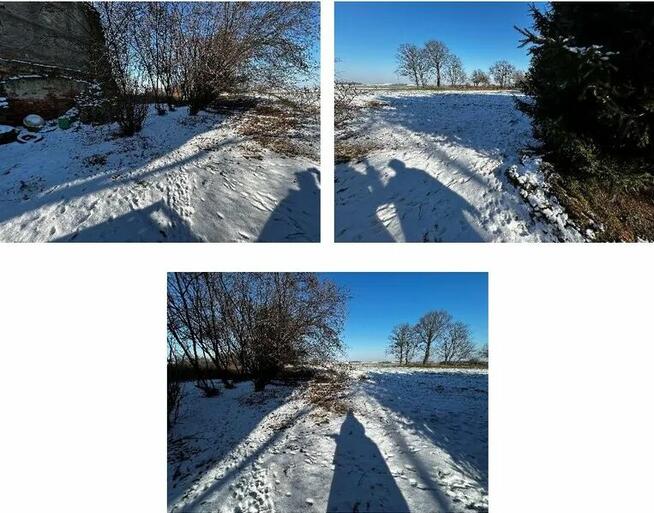 Nieruchomość niezabudowana - Ruja