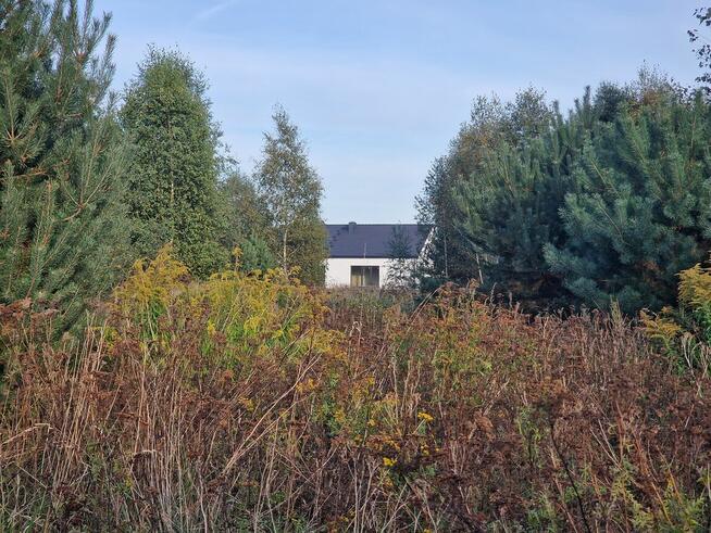 Bezczynszowe Nowe Parterowe, duża działka