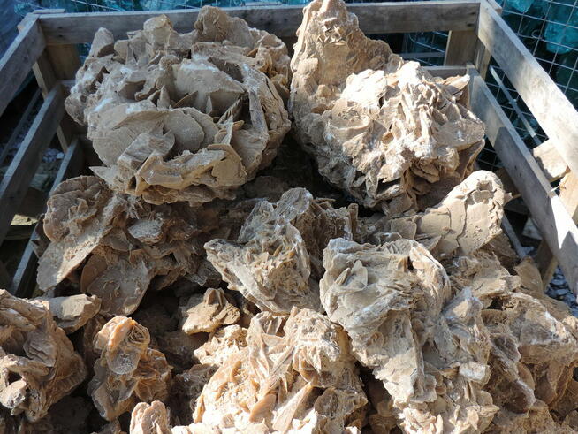 Kamień ozdobny Róża Pustyni bryła skałka kamień do ogrodu