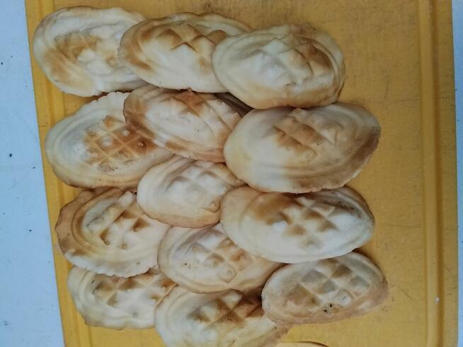 Sprzedam małe serki.bunc, korbacze białe