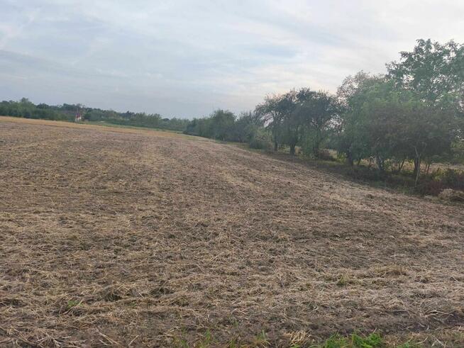 Dom z działką w miejscowości Zabełcze