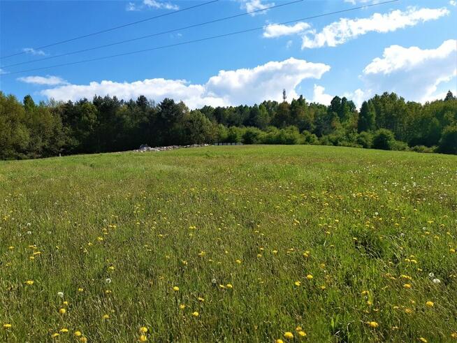 Dwie widokowe działki budowlane w Trepczy z WZ