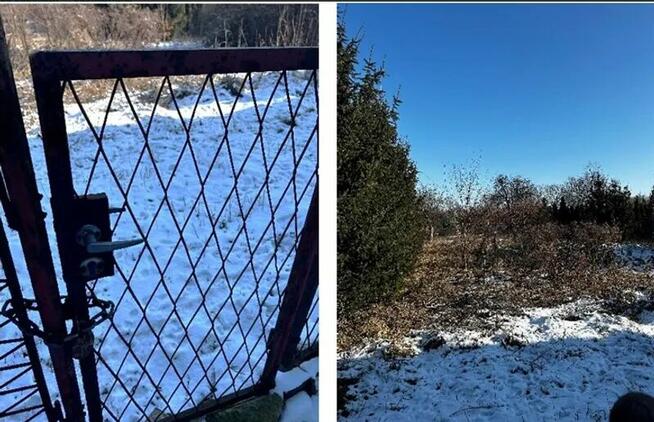 Nieruchomość niezabudowana - Ruja