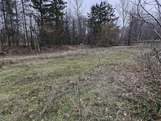 Działka budowlana 3000 m² – Borkowice, pow. przysuski, Mazow