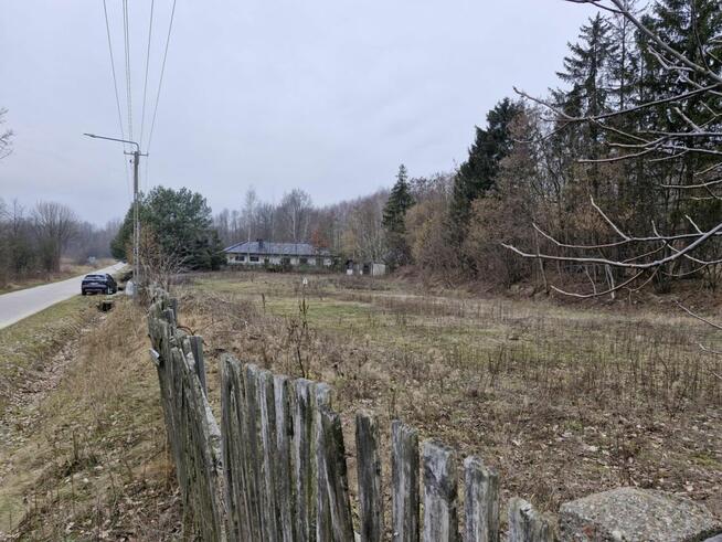 Działka budowlana 3000 m² – Borkowice, pow. przysuski, Mazow