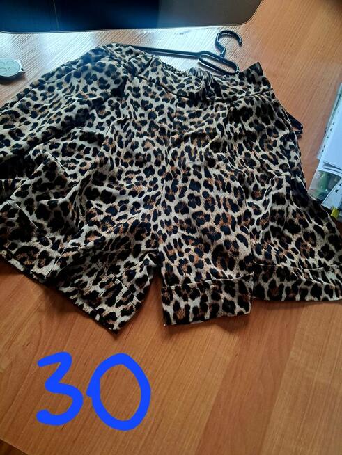 Ciuszki na każdą kieszeń