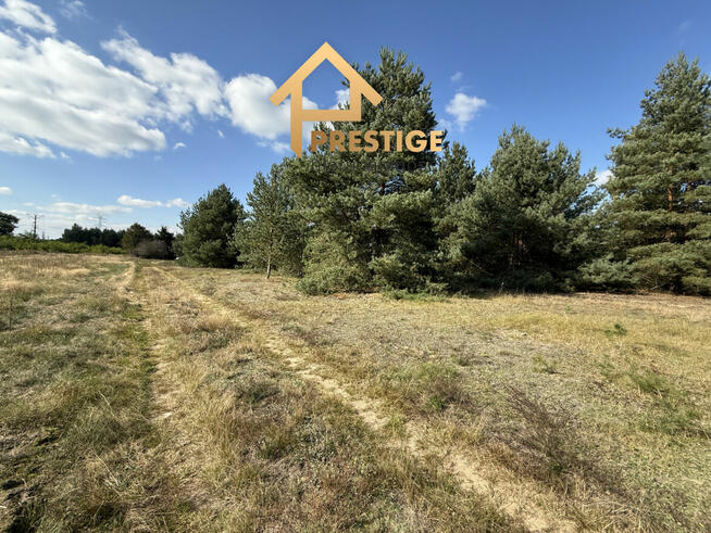 Działki budowlane 1100m2 na sprzedaż Rosocha-Kolonia