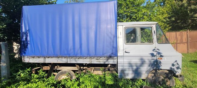 ☆SPRZEDAM ŻUCZKA☆