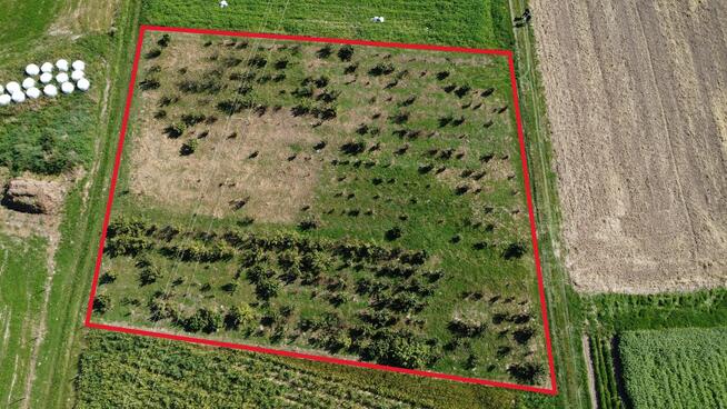 Sprzedam działkę budowlaną