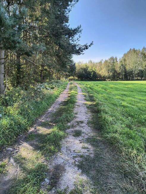 Duża działka rekreacyjna w Pilchach jezioro Roś