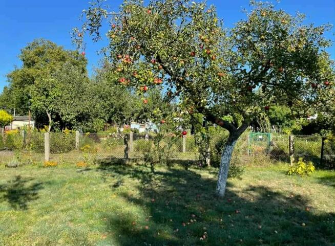 Działka 420 m2 rekreacyjna ROD Sienkiewicza, ul. Tenisowa/26