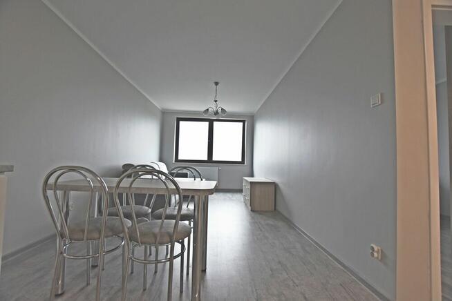 mieszkanie do wynajęcia