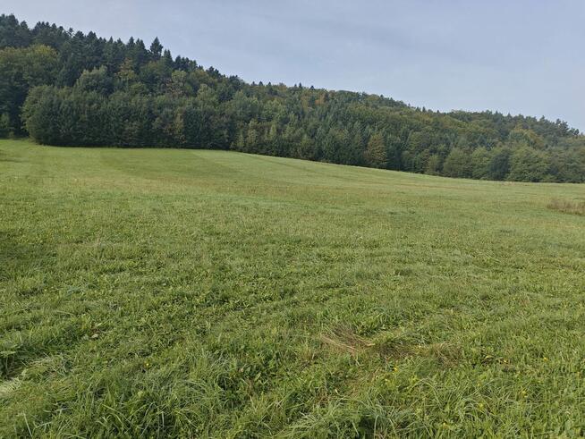 Działka budowlana rekreacyjna w Bieszczadach