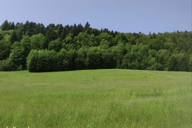 Działka budowlana rekreacyjna w Bieszczadach