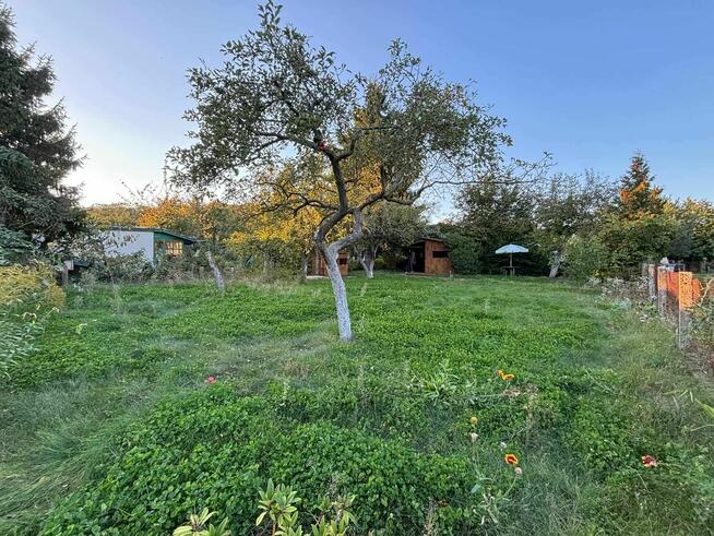 Działka 420 m2 rekreacyjna ROD Sienkiewicza, ul. Tenisowa/26