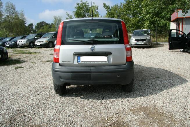 ładna Panda nie zgniła 1.1 benzynka