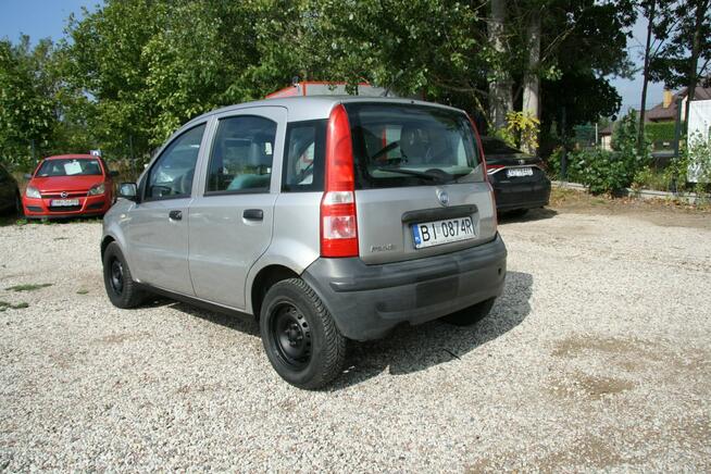 ładna Panda nie zgniła 1.1 benzynka